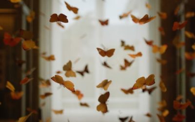 Birds and Butterflies Wedding Theme