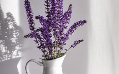 Lavender Wedding Theme